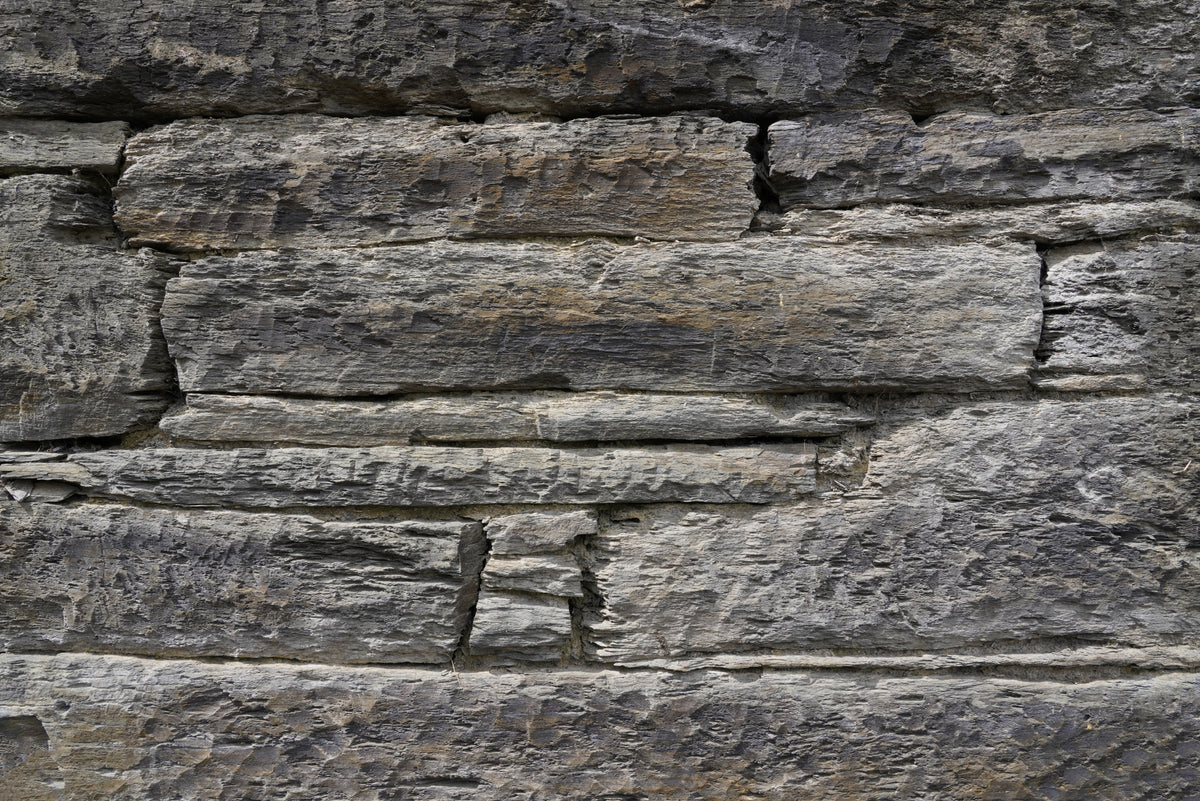 Tex Surface W6