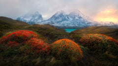 Wall mural Spring in Patagonia – fototapet med unikt motiv som skapar en inspirerande fondvägg