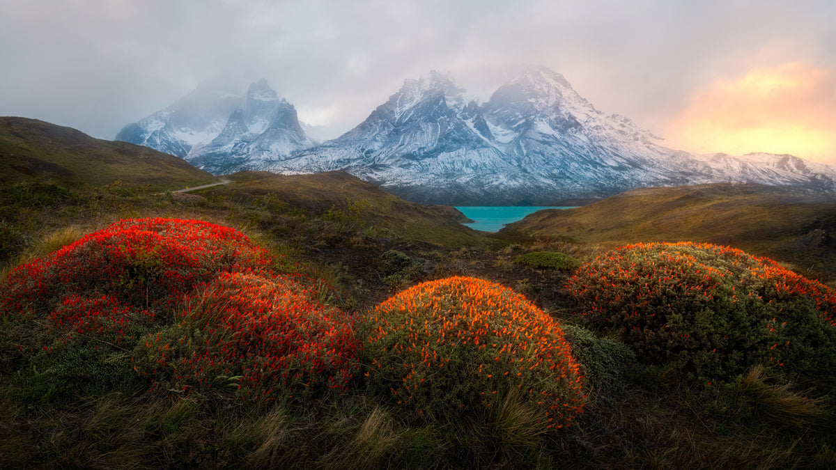 Vår i Patagonia