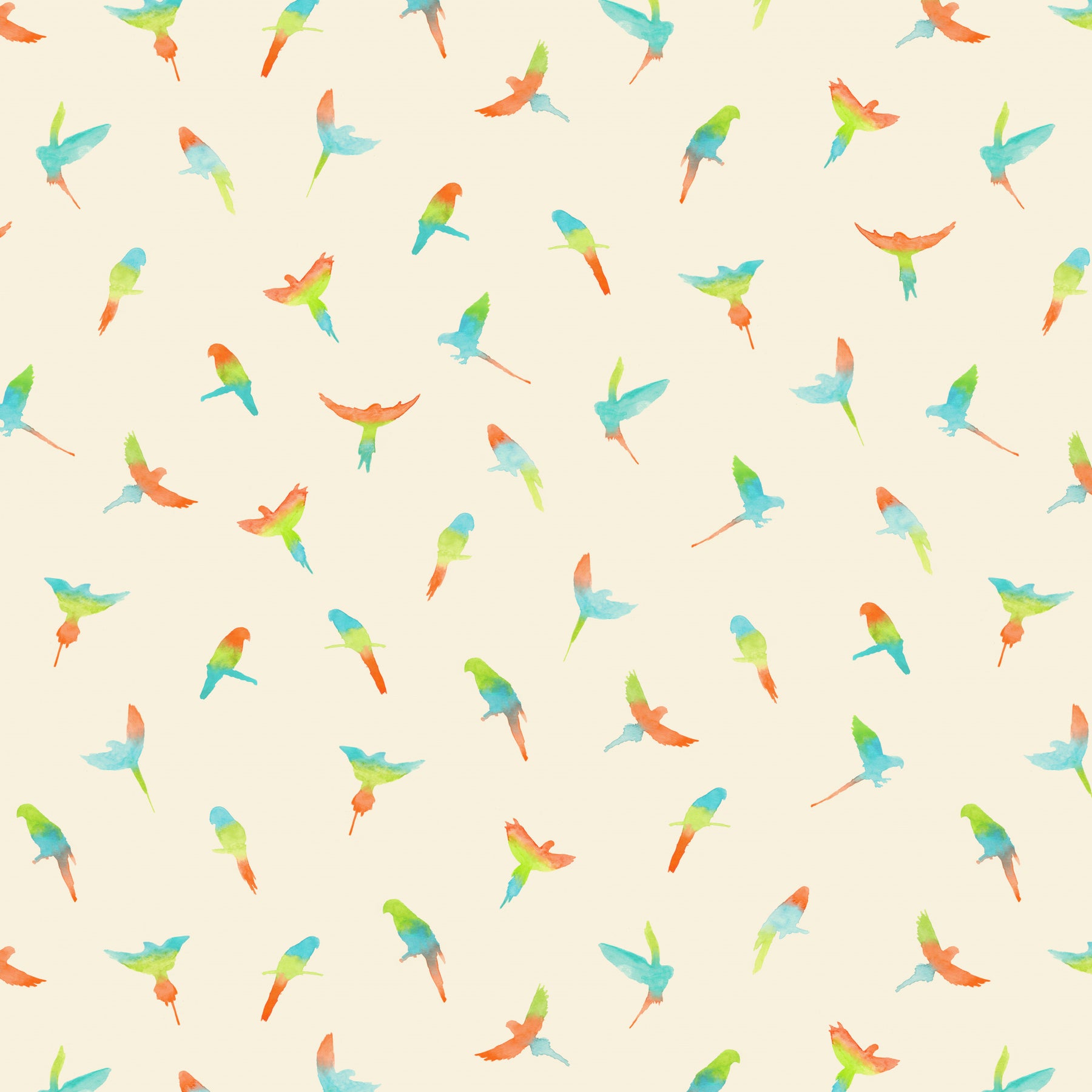 Parrot