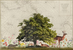 Wall mural Nordic Woods No2 – fototapet med unikt motiv som skapar en inspirerande fondvägg