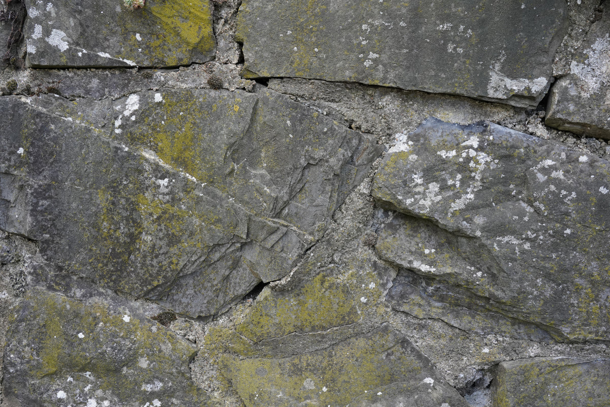 Tex Surface S51