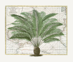 Wall mural Tropical Empire No5 – fototapet med unikt motiv som skapar en inspirerande fondvägg