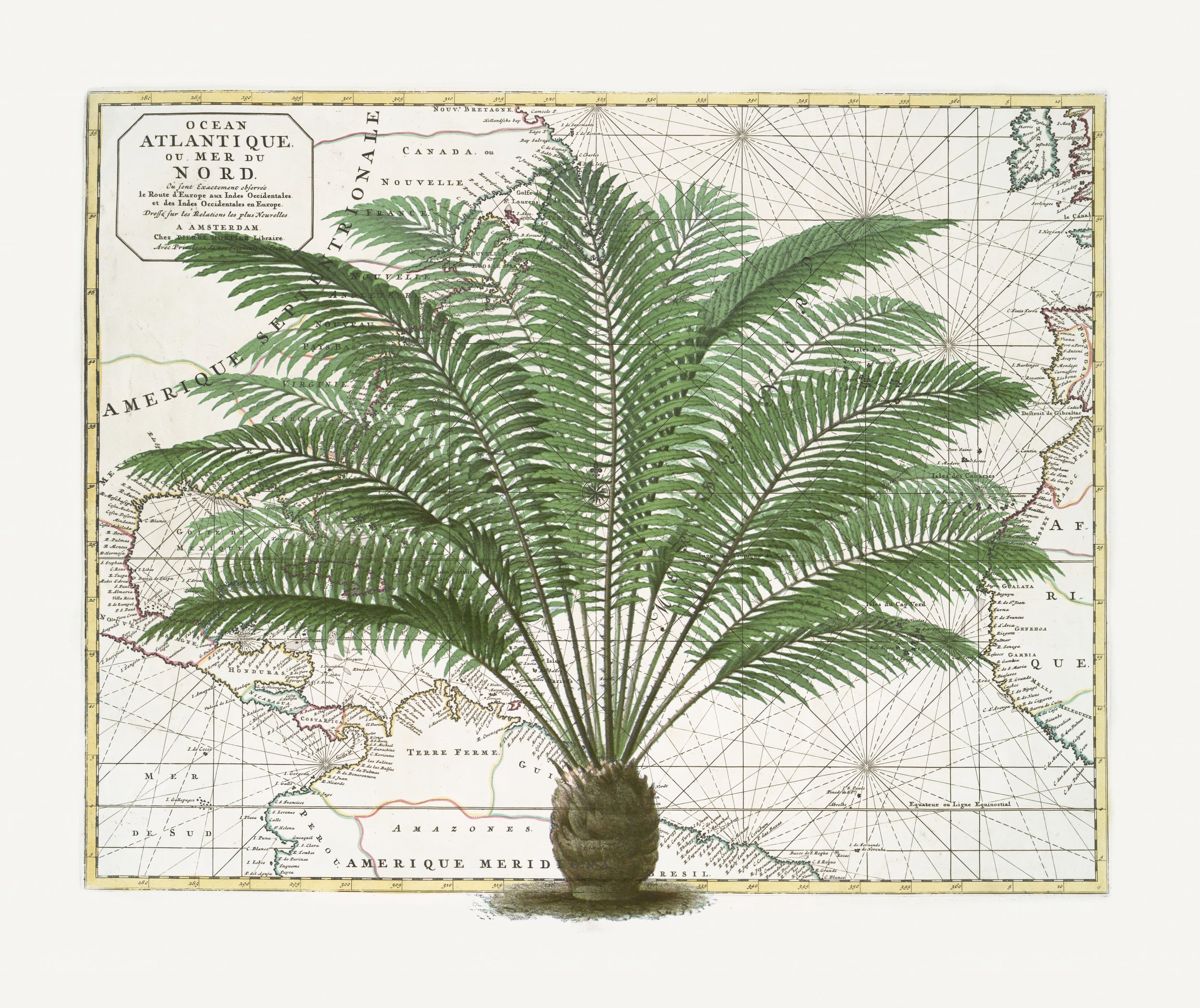 Tropical Empire No5