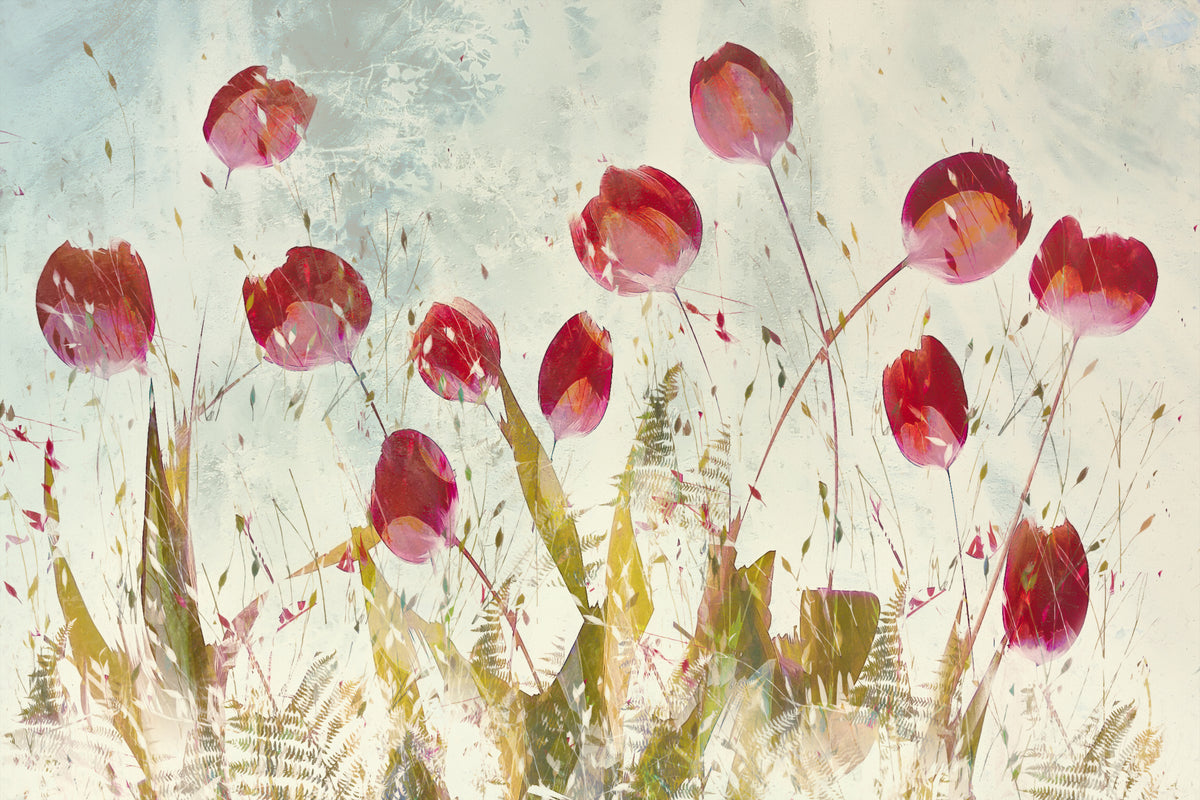 Glade tulipaner
