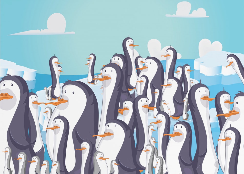 Busy Penguin Colony