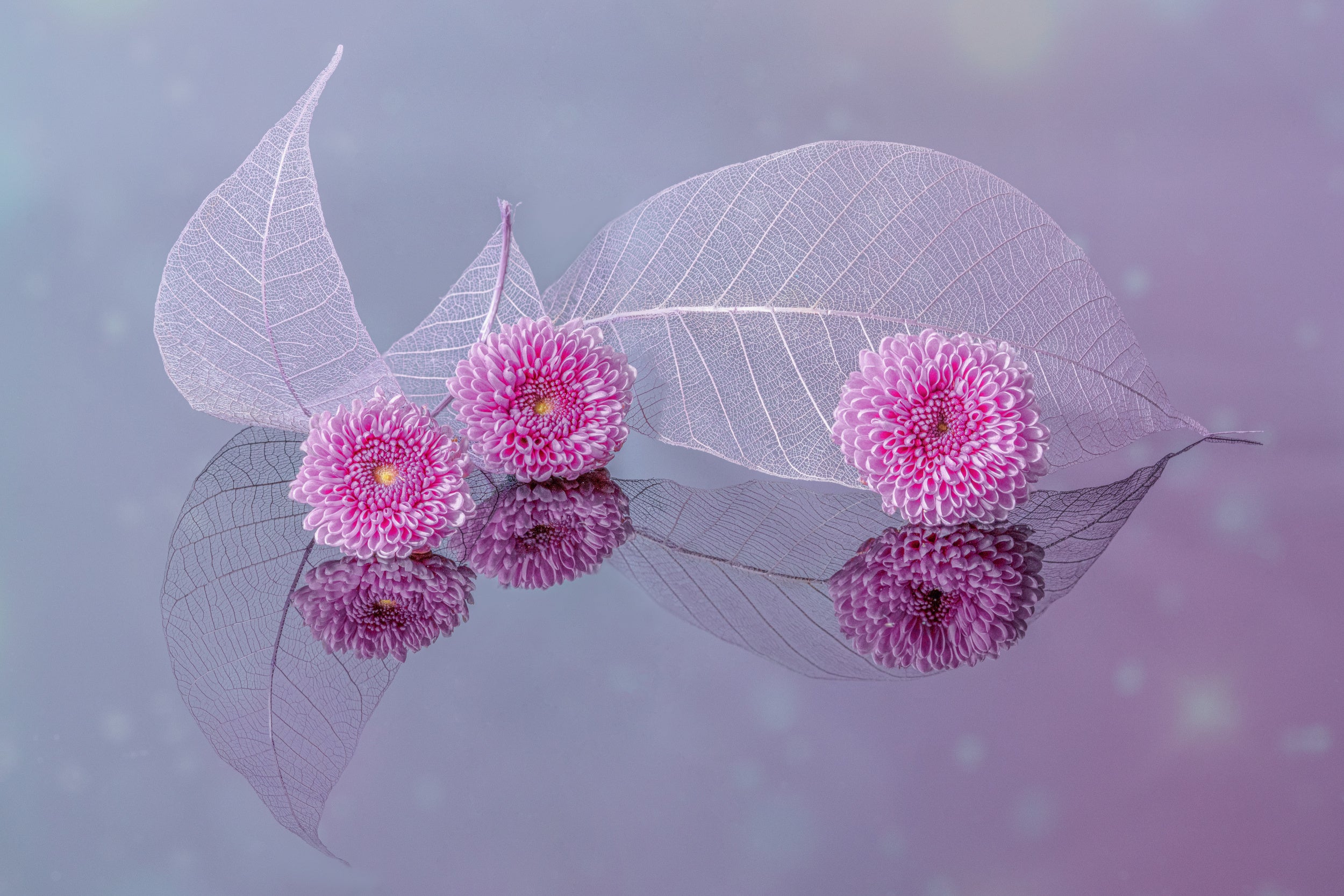 flowers and leaves