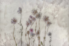 Wall mural Dried flowers – fototapet med unikt motiv som skapar en inspirerande fondvägg