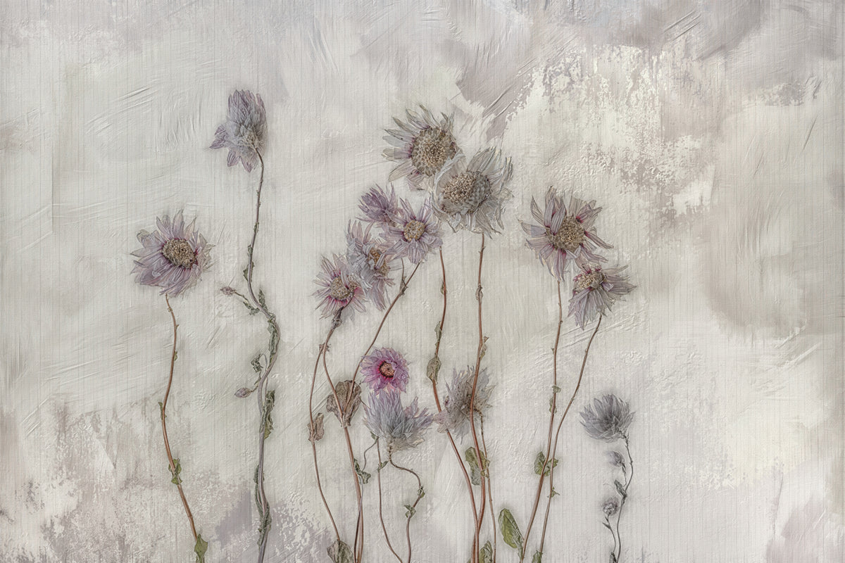 Tørkede blomster