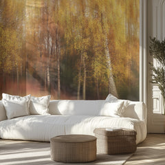 Dreamy Autumn Birches