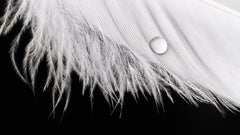 Wall mural Slide – fototapet med unikt motiv som skapar en inspirerande fondvägg