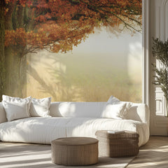 Misty Autumn Trees