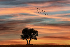 Wall mural Silence autumn – fototapet med unikt motiv som skapar en inspirerande fondvägg