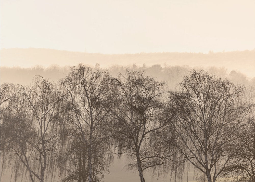 Fading Horizons 1