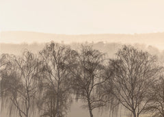 Fading Horizons 1
