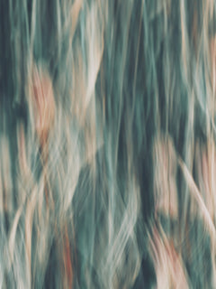 Wall mural Impressionist Flowers – fototapet med unikt motiv som skapar en inspirerande fondvägg