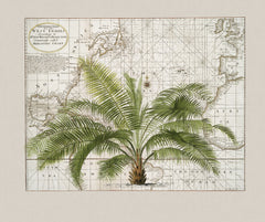 Wall mural Tropical Empire No1 – fototapet med unikt motiv som skapar en inspirerande fondvägg