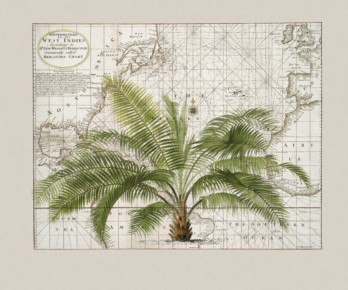 Tropical Empire No1