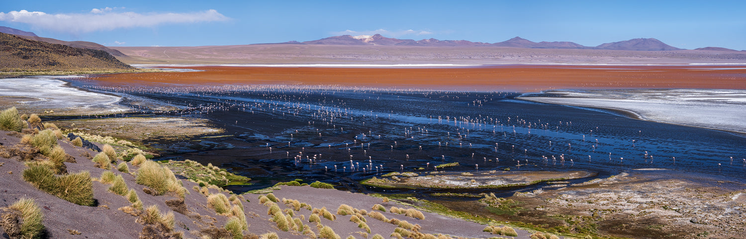 Laguna colorada