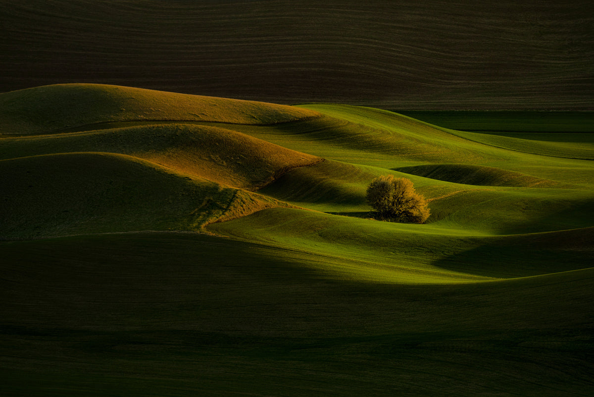 Solotre