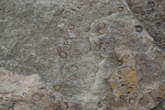 Wall mural Tex Surface S26 – fototapet med unikt motiv som skapar en inspirerande fondvägg