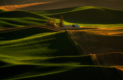 Wall mural Sunset Light and Shadow – fototapet med unikt motiv som skapar en inspirerande fondvägg