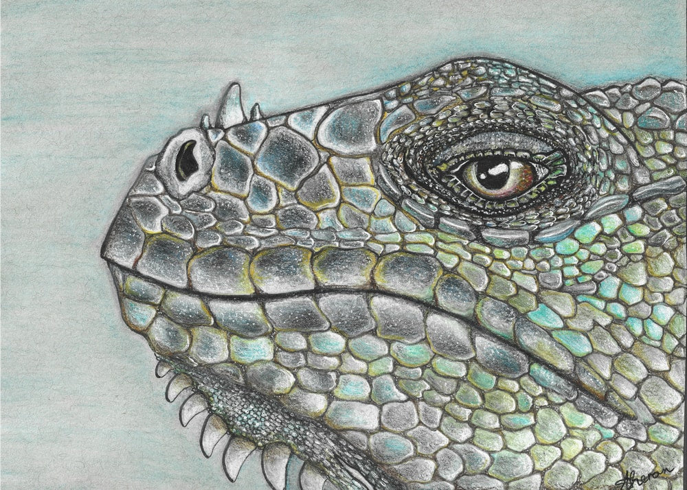 Vivid Iguana Scales