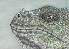 Vivid Iguana Scales