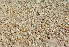 Wall mural Golden Pebbles and Clear Water – fototapet med unikt motiv som skapar en inspirerande fondvägg
