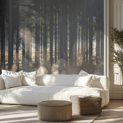 Forest Glow 1