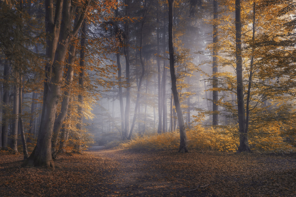 Oktobertage