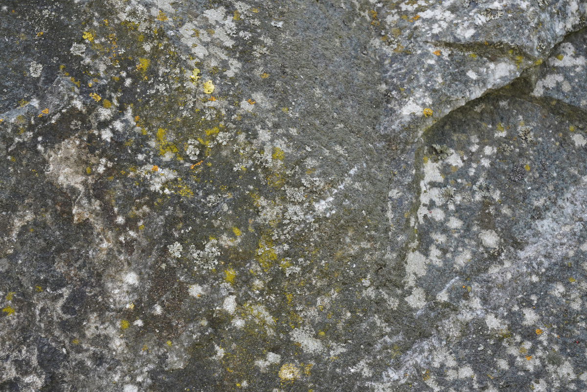 Tex Surface S45