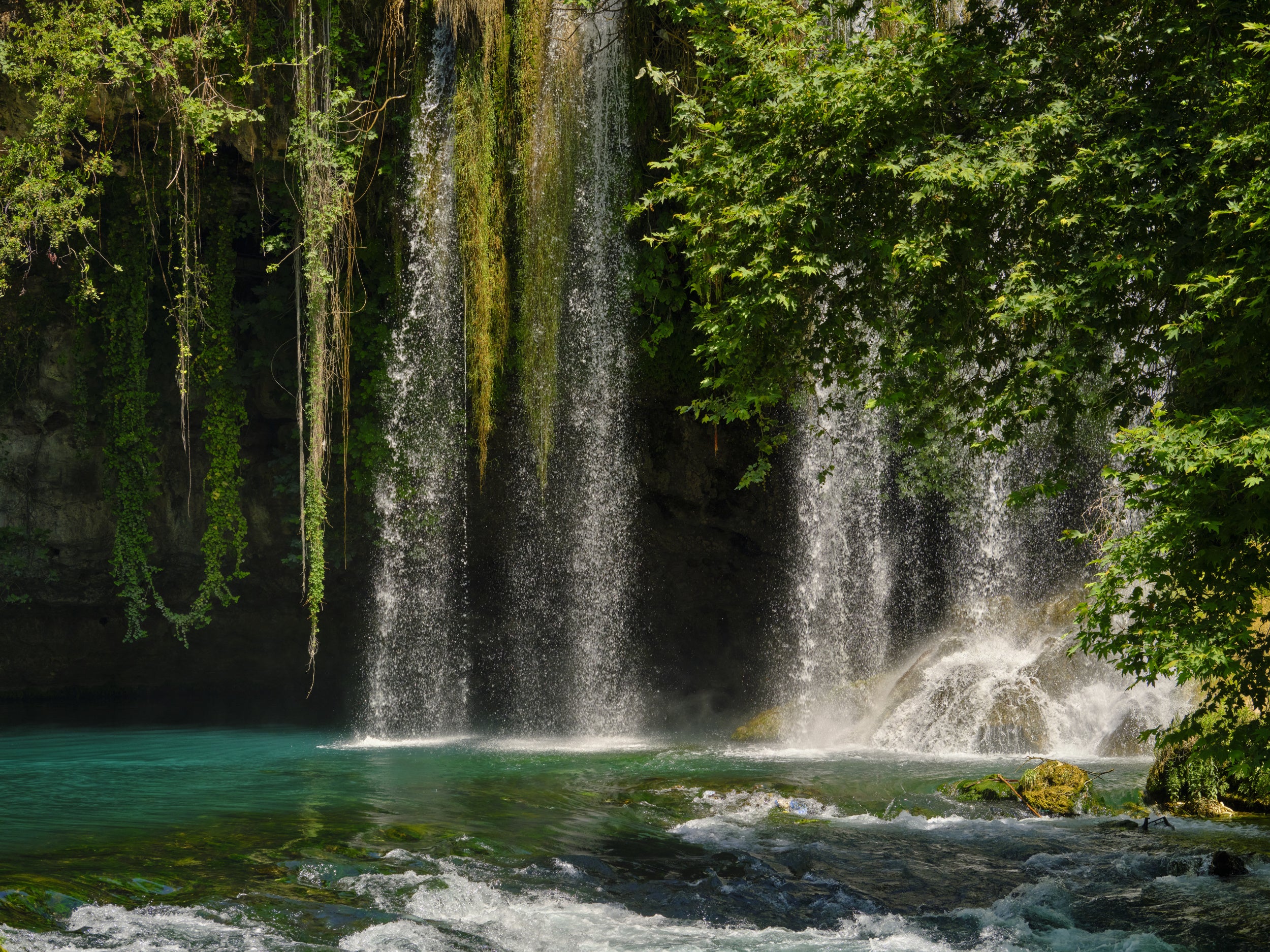 beautiful waterfall in the forest