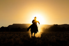 Wall mural The Cowboy – fototapet med unikt motiv som skapar en inspirerande fondvägg