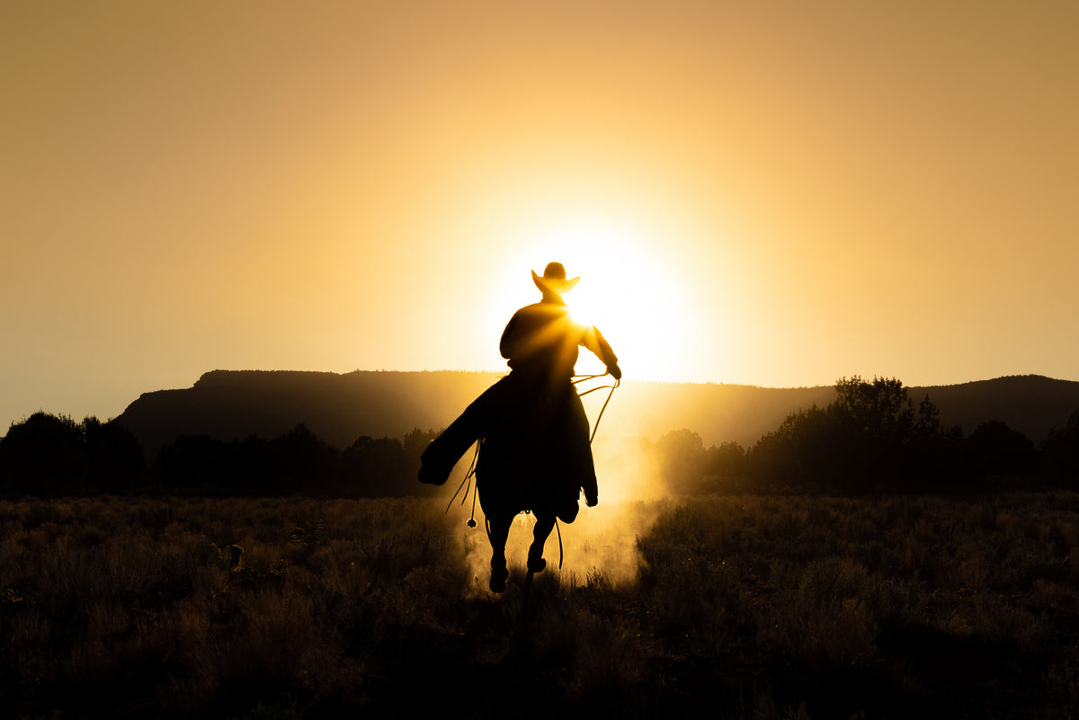 Cowboyen