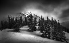 Wall mural Windy &amp; cold – fototapet med unikt motiv som skapar en inspirerande fondvägg