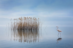 Wall mural Volvi Lake – fototapet med unikt motiv som skapar en inspirerande fondvägg