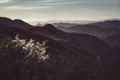 Wall mural Vista of Hills – fototapet med unikt motiv som skapar en inspirerande fondvägg