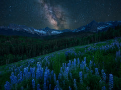 Wall mural Milky Way over Lupine Slope – fototapet med unikt motiv som skapar en inspirerande fondvägg