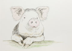 Cute Watercolor Pig