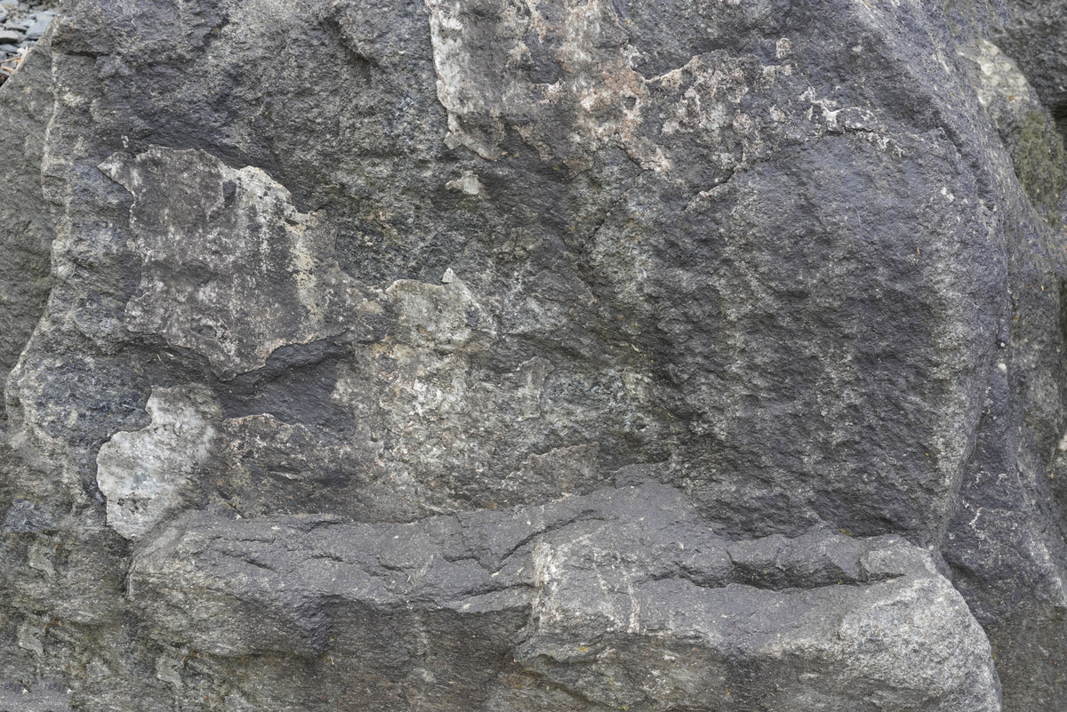Tex Surface S36