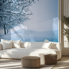Winter Trees in Snow