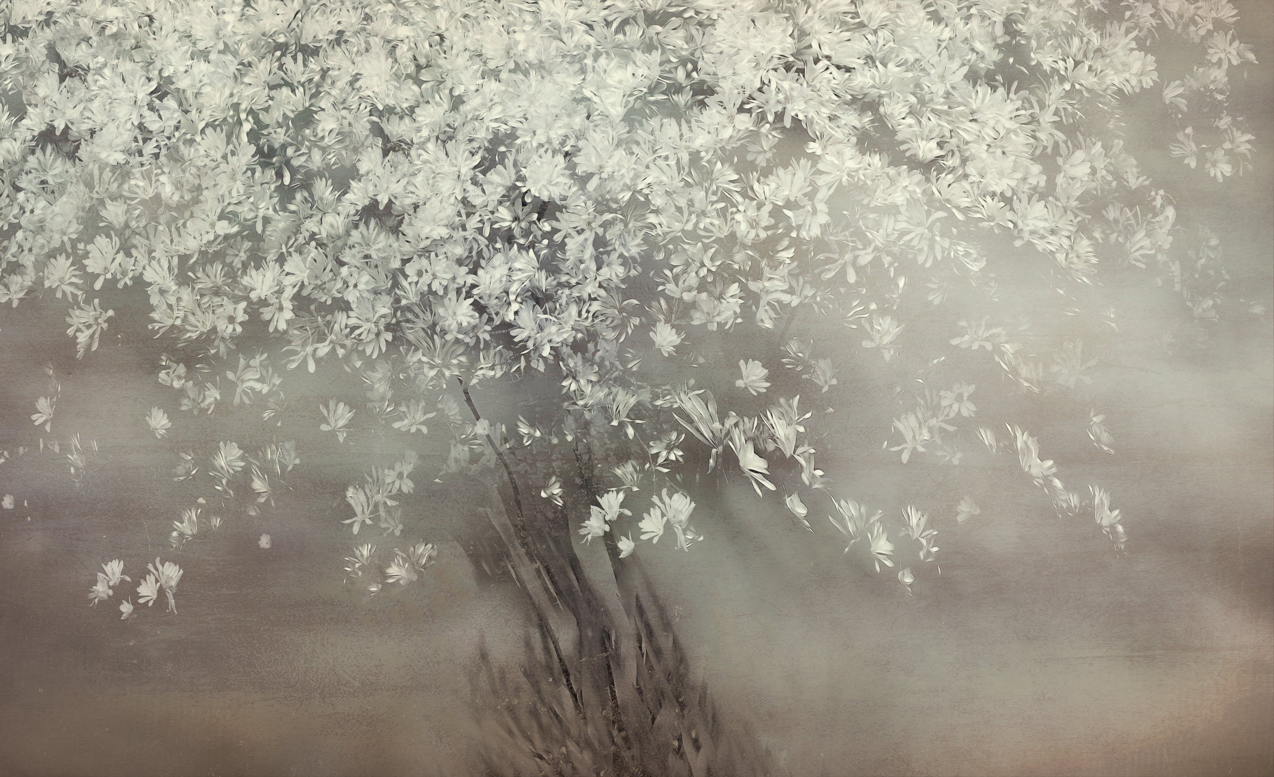 Stars of spring