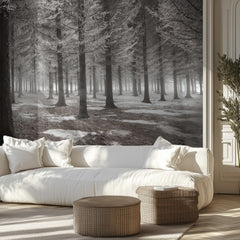 Frosted Winter Forest