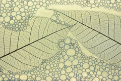 Wall mural Lines and circles – fototapet med unikt motiv som skapar en inspirerande fondvägg