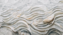 Wall mural Sea Shell Detail No 6 – fototapet med unikt motiv som skapar en inspirerande fondvägg