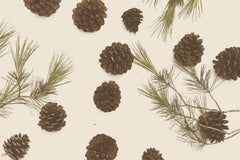 Wall mural Merry Christmas My Dear – fototapet med unikt motiv som skapar en inspirerande fondvägg