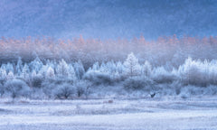 Wall mural Autumn and Winter gradients – fototapet med unikt motiv som skapar en inspirerande fondvägg