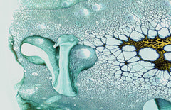 Wall mural K Color (Chrome Oxide) Pigment dispersing in Croom Acrylic House Paint – fototapet med unikt motiv som skapar e...