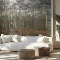 Serene Birch Forest